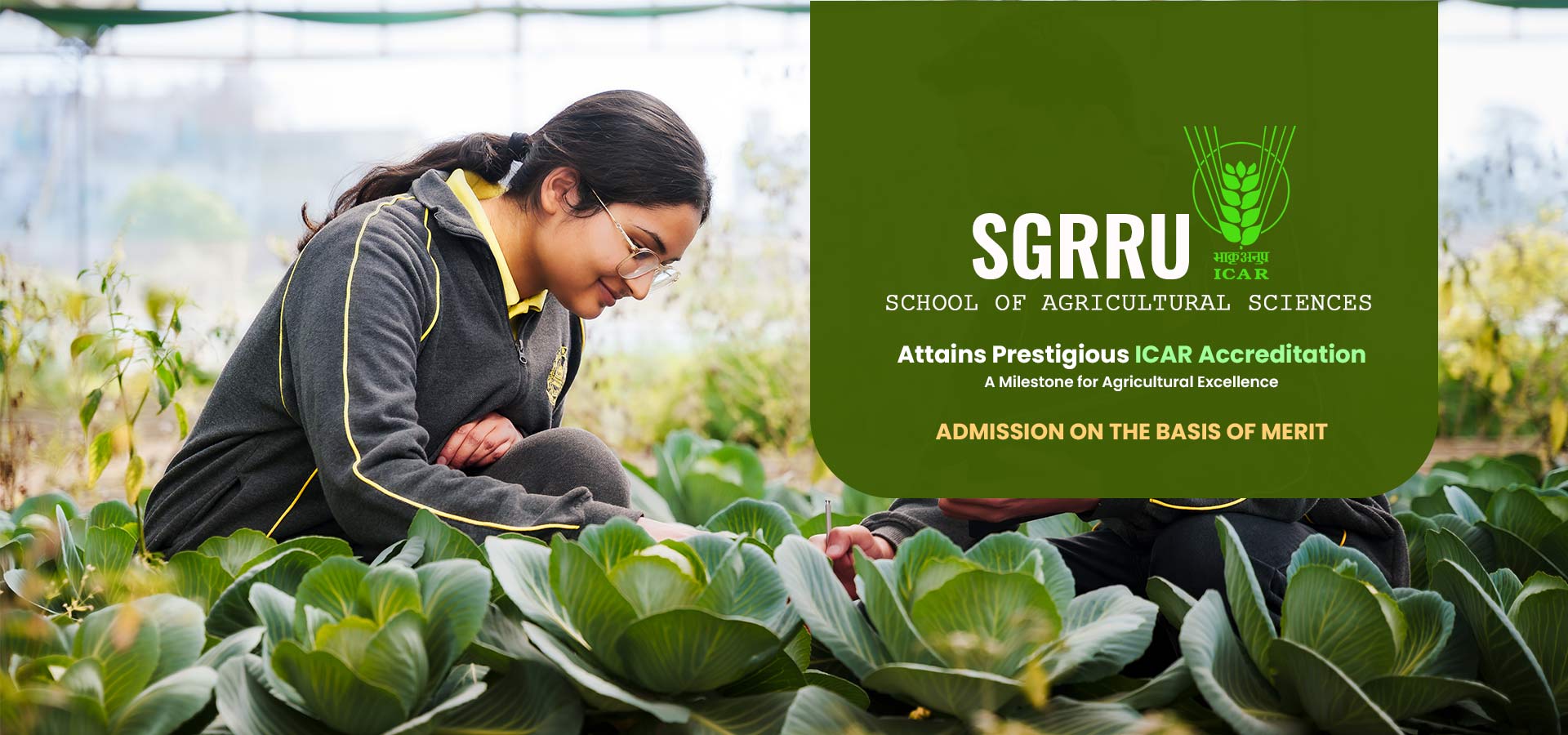 agriculture